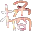 橘子動漫
