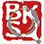 中國(guó)學(xué)術(shù)會(huì)議報(bào)道
