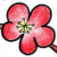 花瓣網